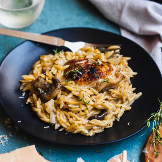 Garlic Chicken And Orzo Risotto