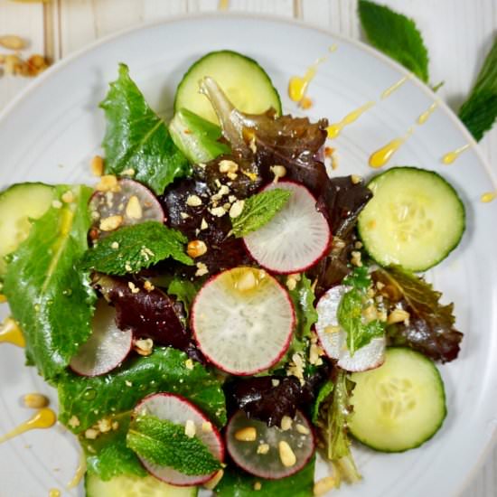 Radish and Mint Salad