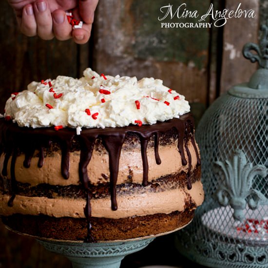Peppermint Mocha Cake