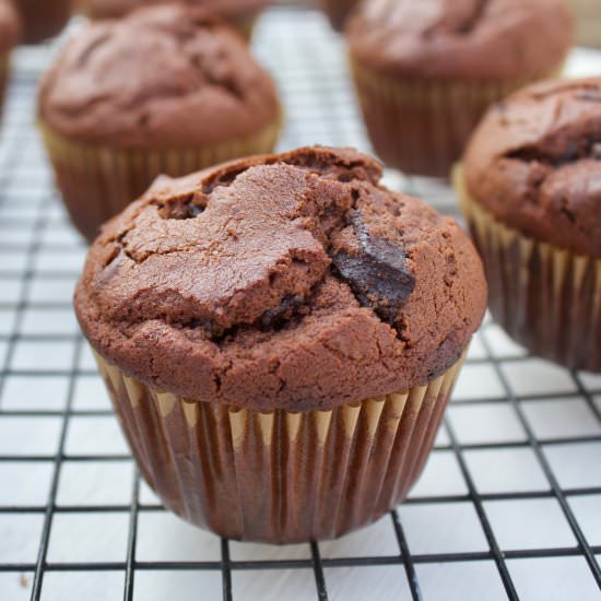 Hot Cocoa Muffins