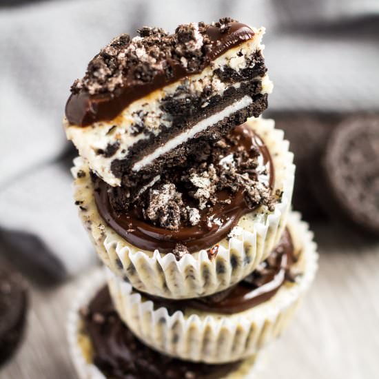 Mini Oreo Cheesecakes