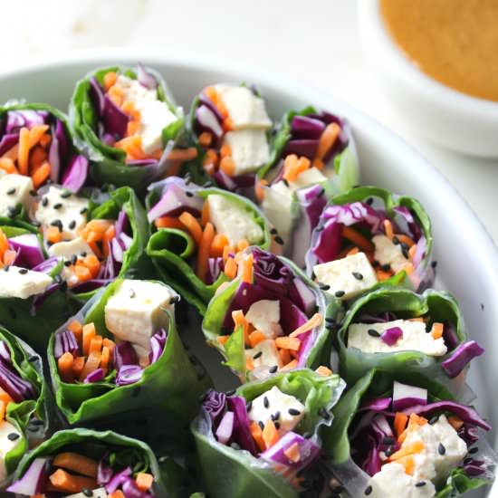 Vegan Rice Paper Rolls