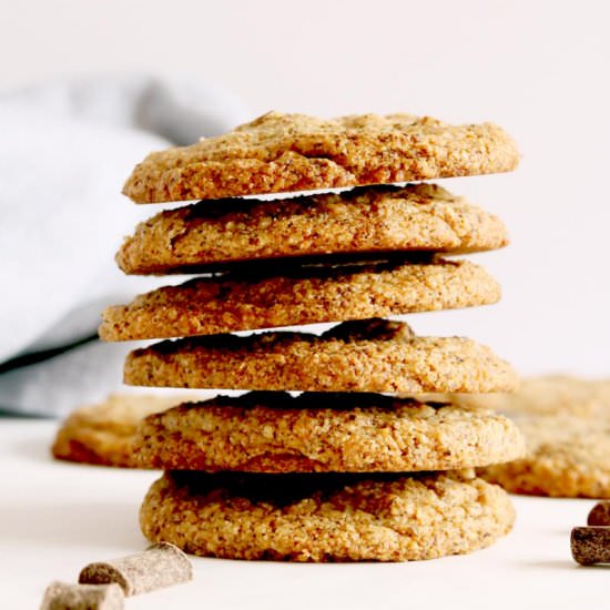 Paleo Coconut Chocolate Chip Cookie