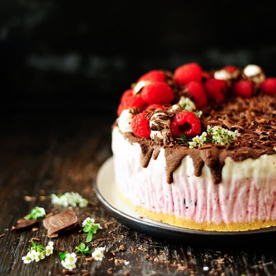 Raspberry chocolate ice cream cake