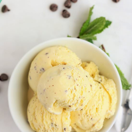 Mint Chocolate Chip Ice Cream