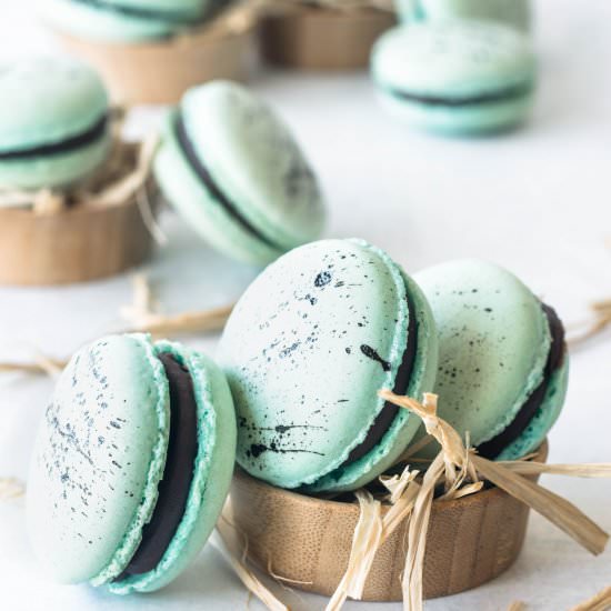 Robin’s Eggs Macarons