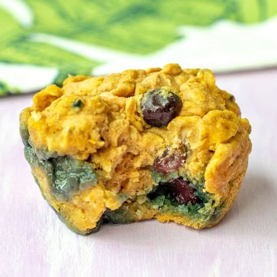 Vegan Blueberry Pumpkin Oat Muffins