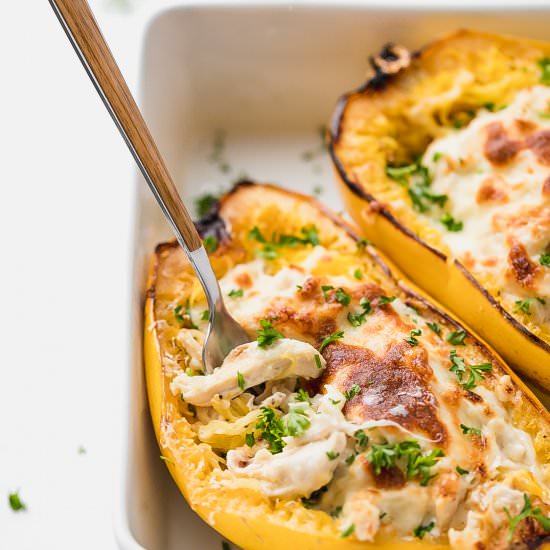 Chicken Alfredo Spaghetti Squash