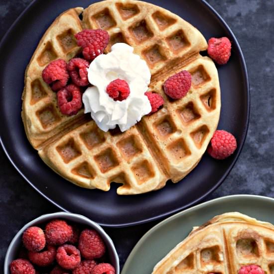 Homemade Belgian Waffles for Two