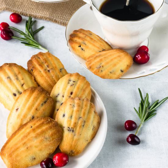 Orange Cranberry Madeleines