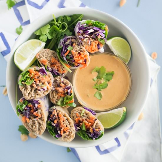 Peanut Noodle Spring Rolls