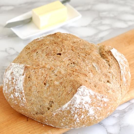 Whole Grain Low Knead Bread