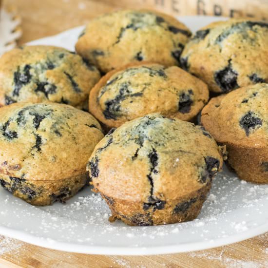 CHOCOLATE MUFFINS