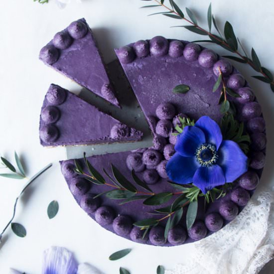 Wild Blueberry Vegan Cheesecake