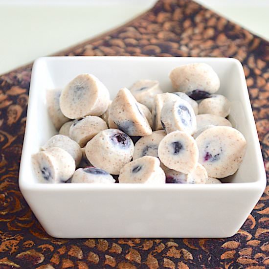 Frozen Yogurt Blueberries