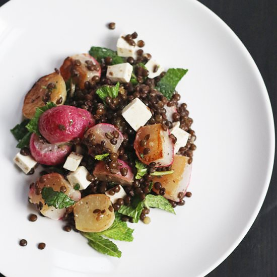 spring lentil salad