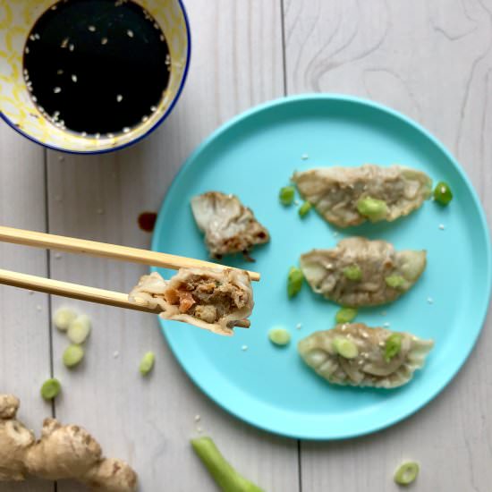 Vegetable and Pork Dumplings