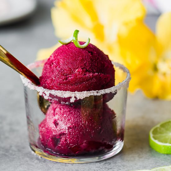Hibiscus Margarita Sorbet