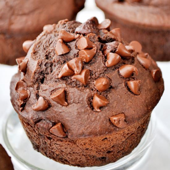 Double Chocolate Chip Muffins