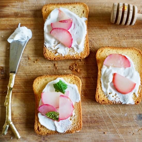 Radish & Mint Ricotta Toasts