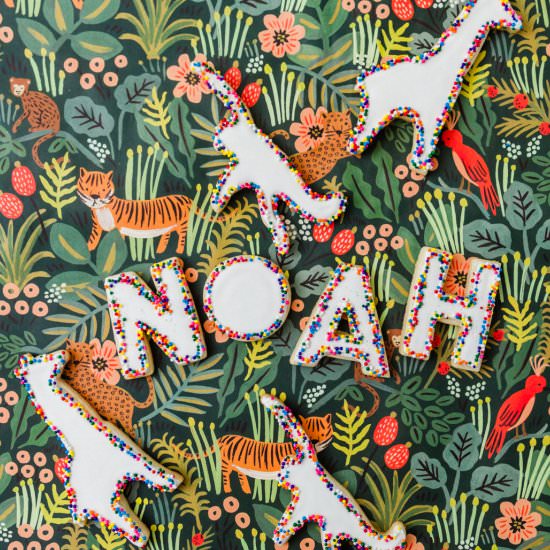 Jungle Sugar Cookies