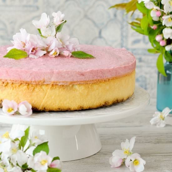 Rhubarb cheesecake