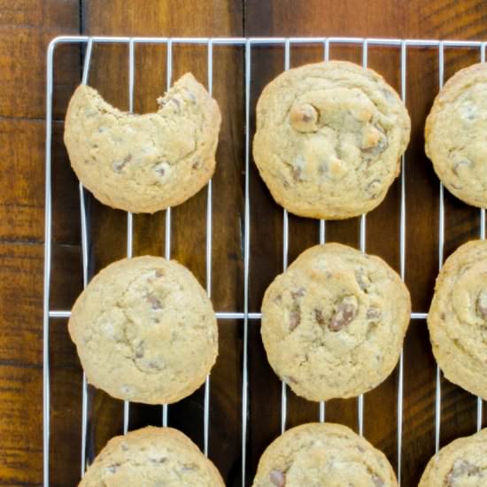 Champion Chocolate Chip Cookie