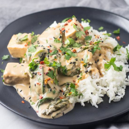 Low FODMAP Thai Pra Ram Tofu