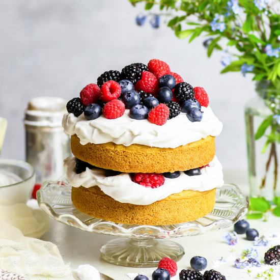 GF+Vegan Vanilla Cake