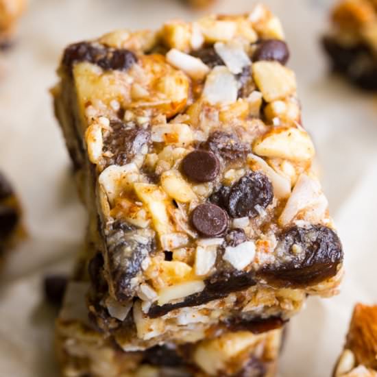 Grain Free No-Bake Granola Bars