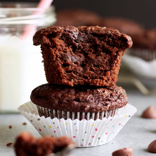 Chocolate Coconut Yogurt Muffins