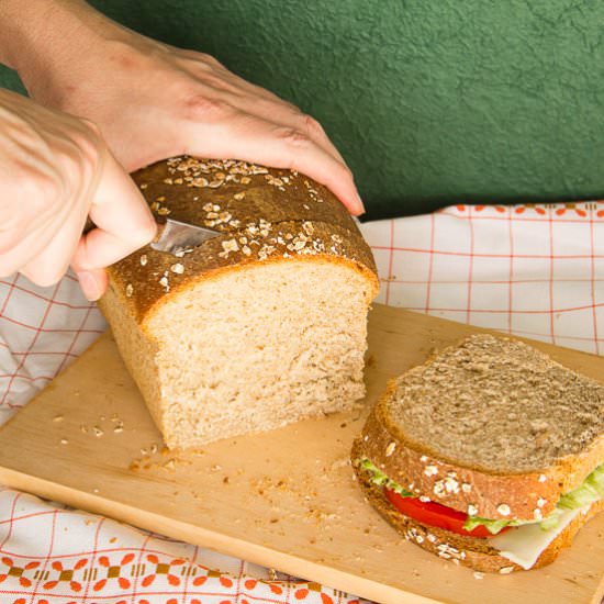 Homemade Sandwich Bread