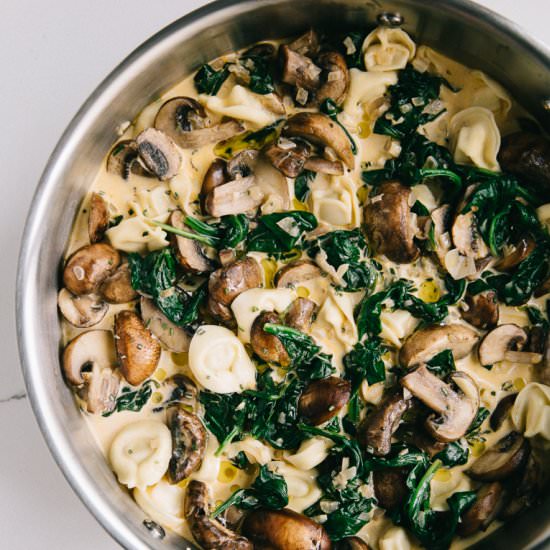 Creamy Mushroom Tortellini