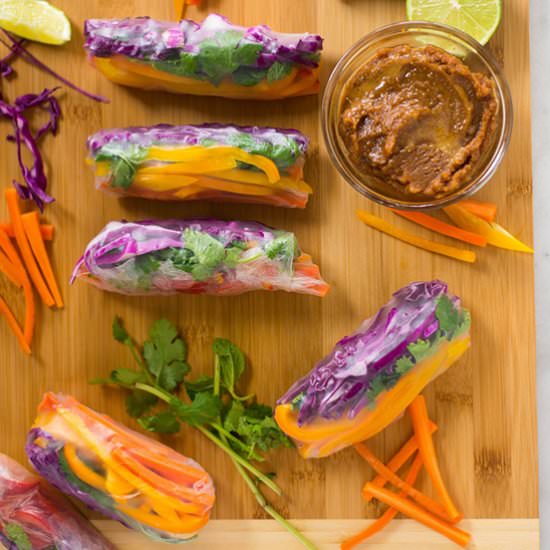 5 Healthy Spring Roll Recipes