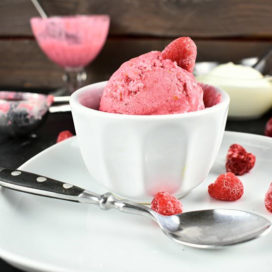 Sugar Free Ice Cream
