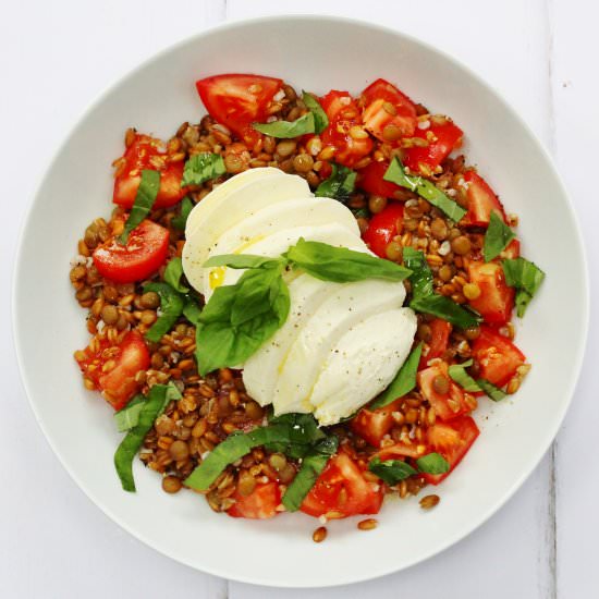 Spelt & Lentil Caprese Salad