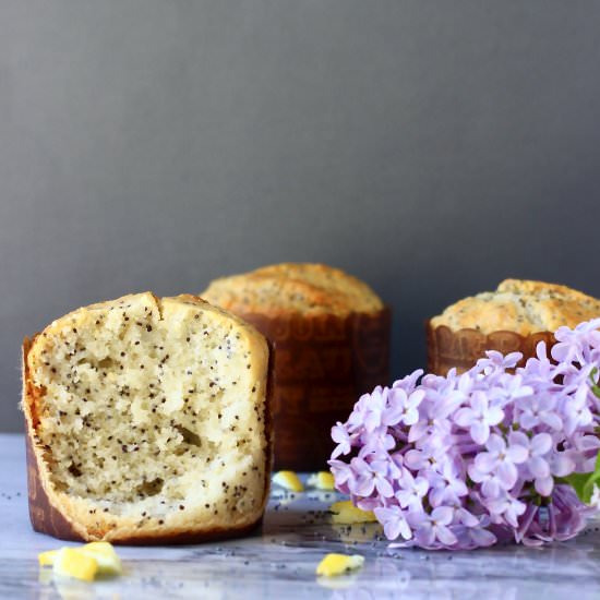GF Vegan Lemon Poppy Seed Muffins
