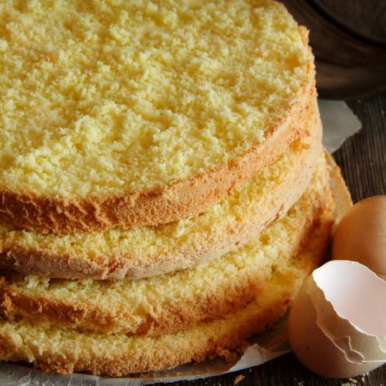 Sponge Cake