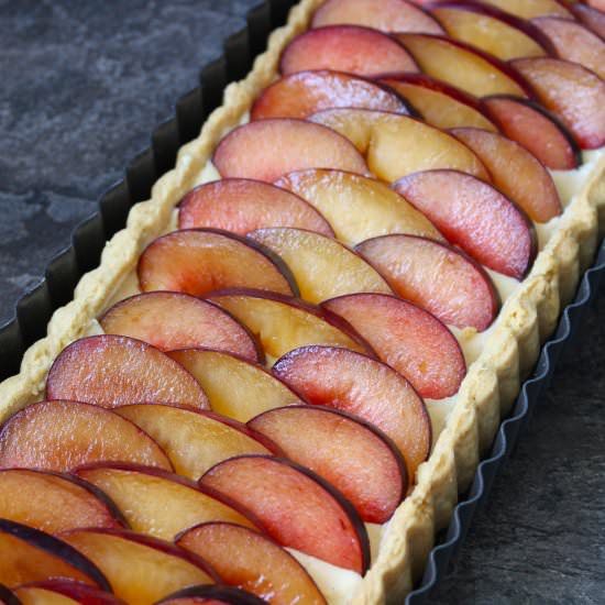 Plum Custard Tart