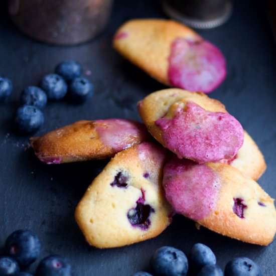 Blueberry & Raspberry Madeleines