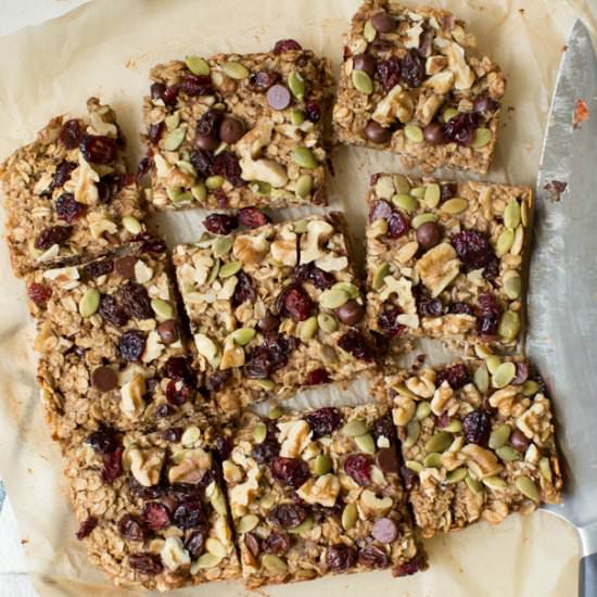 Trail Mix Breakfast Bars