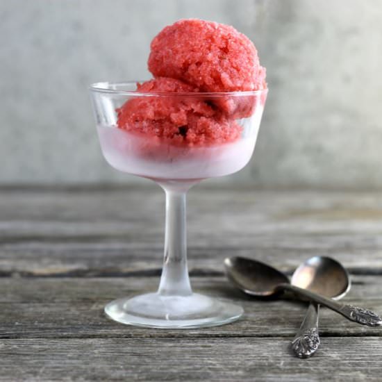 Strawberry Rhubarb Sorbet