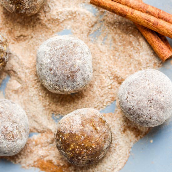 Snickerdoodle Protein Bites