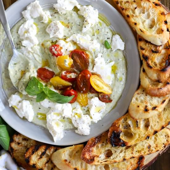 Yogurt Pesto Dip with Burrata