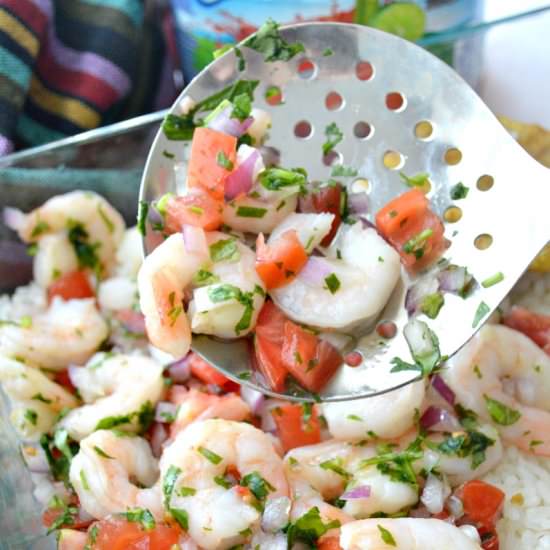 Shrimp Ceviche Lasagna