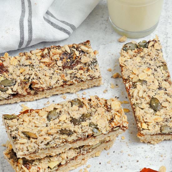 Strawberry Oatmeal Bars