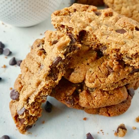Peanut Butter & Chocolate Cookies