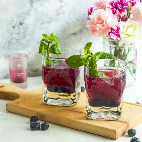 Blueberry Mint Gin Fizz