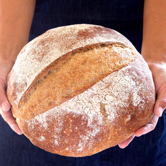 Amazing No Knead Bread
