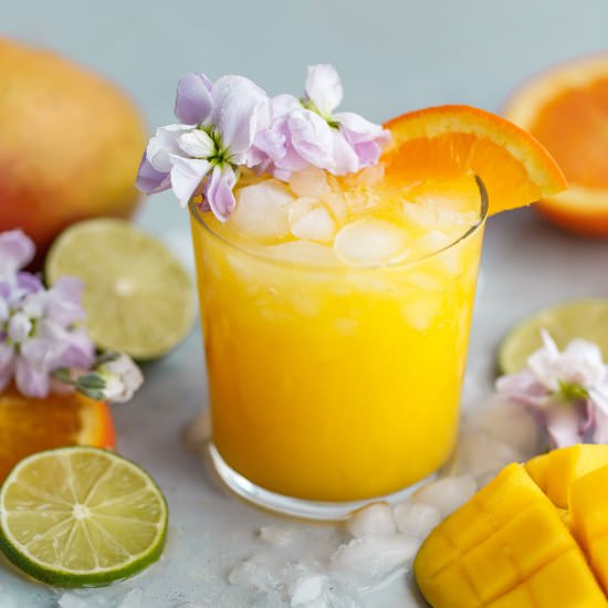 Mango Citrus Fruit Punch